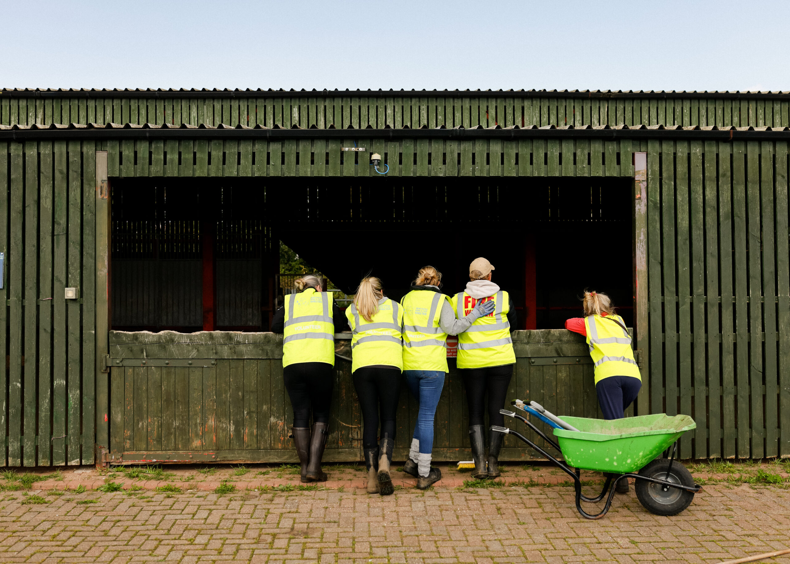 Team TTM Volunteering at Newcastle Dog & Cat Shelter TTM Management