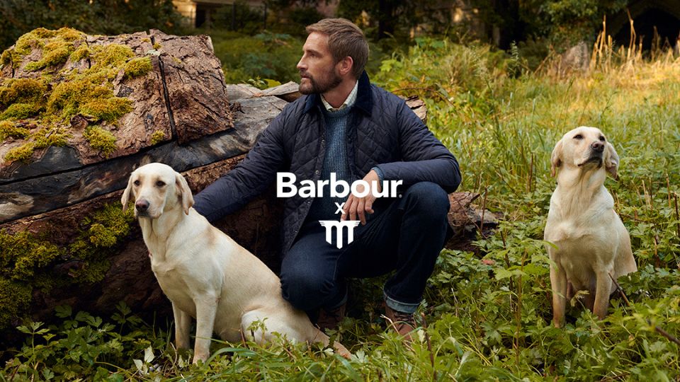 Our Barbour dogs